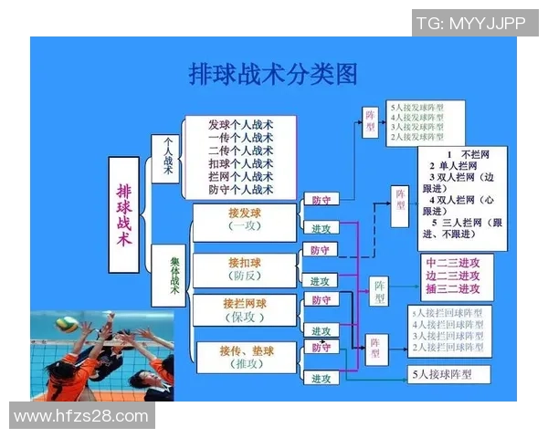 杭州排球队盯防战术解析与排球热点深度剖析