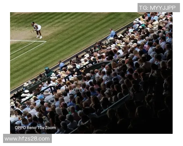 杭州网球队的转型之路：深度解析网球运动的变革与发展