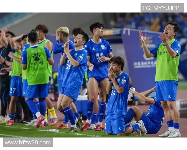 南京足球队实力分析：从历史成就到未来展望的全面解读