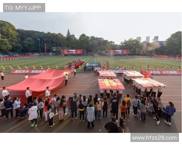 南京网球队在联合会杯中的崛起与挑战历程全景回顾